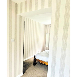 paper stripe 2.jpg